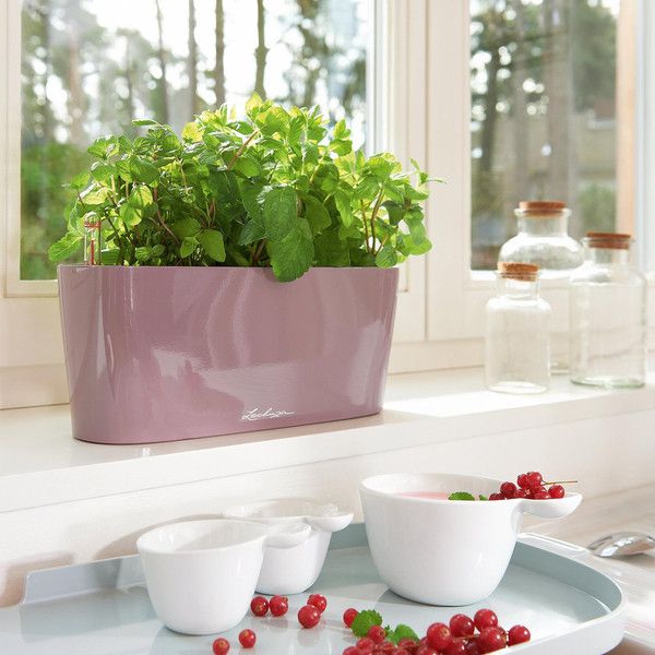 Розумний вазон Lechuza Delta 10 2 л сіро-коричневий 15466