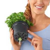 Розумний вазон Lechuza Cube Color 14 1 л білий 13380