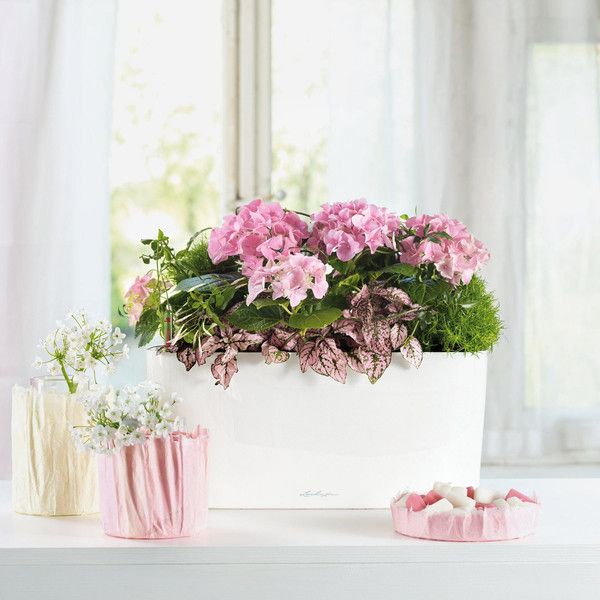 Розумний вазон Lechuza Delta 20 5 л фіолетовий 15572