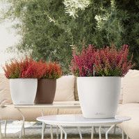 Розумний вазон Lechuza Classico Color 21 5 л білий 13170