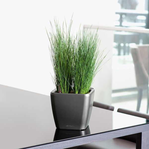 Розумний вазон Lechuza Quadro Premium LS 21 4 л коричневий 16121