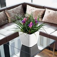 Розумний вазон Lechuza Quadro Premium LS 21 4 л коричневий 16121