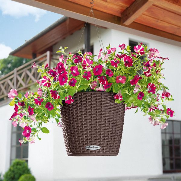 Розумний вазон Lechuza Nido Cottage 27 6 л білий 15190