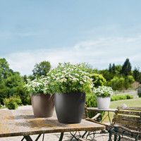 Розумний вазон Lechuza Classico Color 28 9 л коричневий 13203