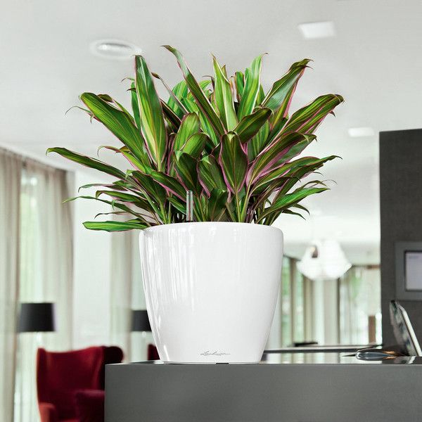 Розумний вазон Lechuza Classico Premium LS 28 6,7 л білий 16040