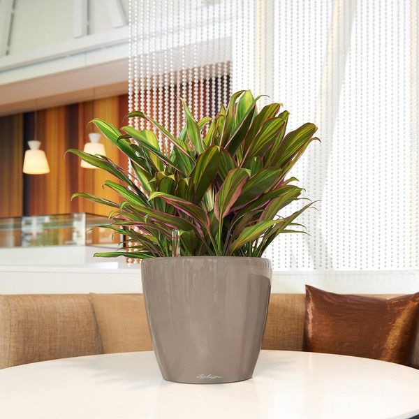 Розумний вазон Lechuza Classico Premium LS 28 6,7 л сірий 16043