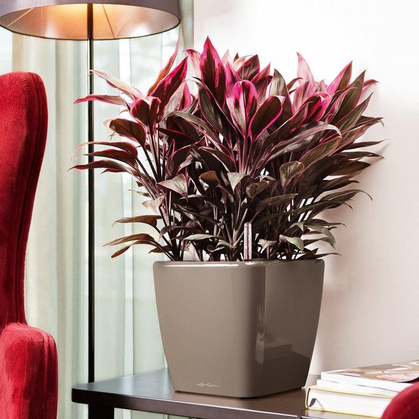 Розумний вазон Lechuza Quadro Premium LS 28 8,5 л білий 16140