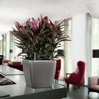 Розумний вазон Lechuza Quadro Premium LS 28 8,5 л коричневий 16141