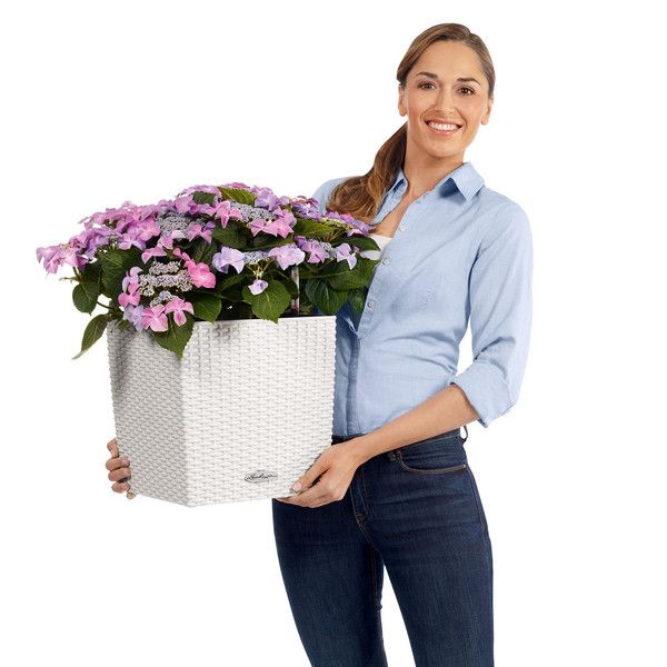 Розумний вазон Lechuza Cube Cottage 30 12 л білий 15376