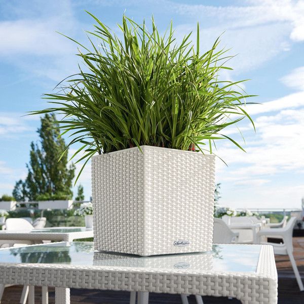 Розумний вазон Lechuza Cube Cottage 30 12 л білий 15376