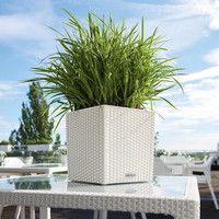 Розумний вазон Lechuza Cube Cottage 30 12 л білий 15376