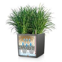 Розумний вазон Lechuza Cube Cottage 30 12 л білий 15376