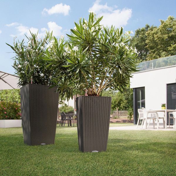 Розумний вазон Lechuza Cubico Cottage 30 14 л білий 15226