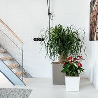 Розумний вазон Lechuza Cubе Premium 30 12 л білий 16460