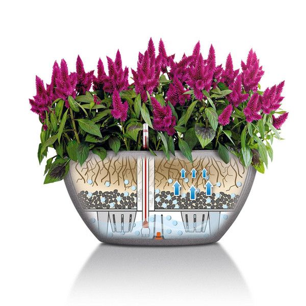 Розумний вазон Lechuza Cubeto Color 30 4,5 л чорний 13832