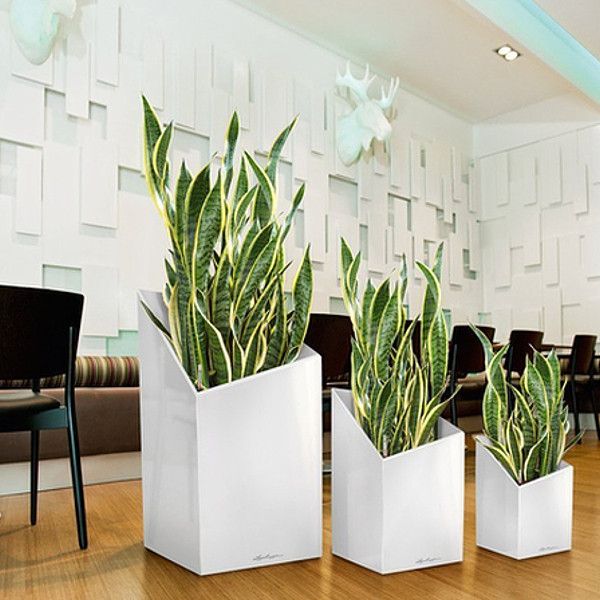 Розумний вазон Lechuza Cursivo Premium 30 12 л білий 16600