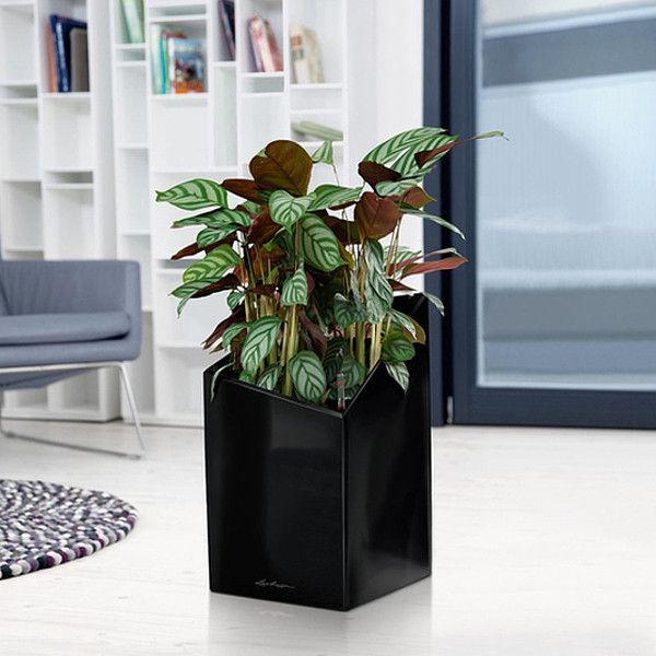 Розумний вазон Lechuza Cursivo Premium 30 12 л білий 16600