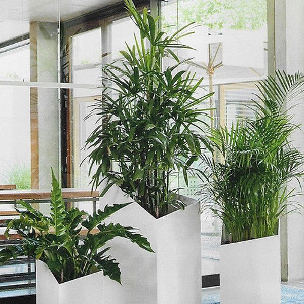 Розумний вазон Lechuza Cursivo Premium 30 12 л білий 16600