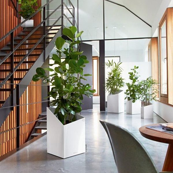 Розумний вазон Lechuza Cursivo Premium 30 12 л білий 16600