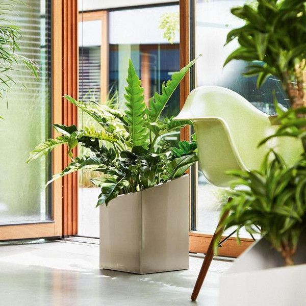 Розумний вазон Lechuza Cursivo Premium 30 12 л коричневий 16604