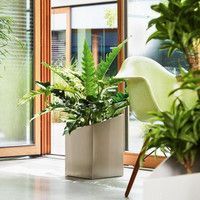 Фото Розумний вазон Lechuza Cursivo Premium 30 12 л коричневий 16604