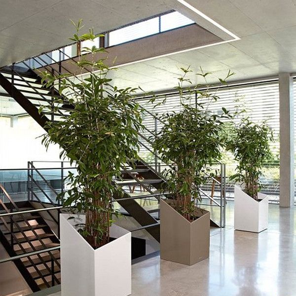 Розумний вазон Lechuza Cursivo Premium 30 12 л коричневий 16604