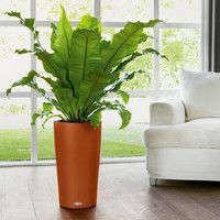 Розумний вазон Lechuza Cilindro Color 32 13 л оранжевий 13952