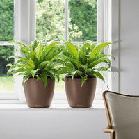 Розумний вазон Lechuza Classico Color 35 17 л білий 13210