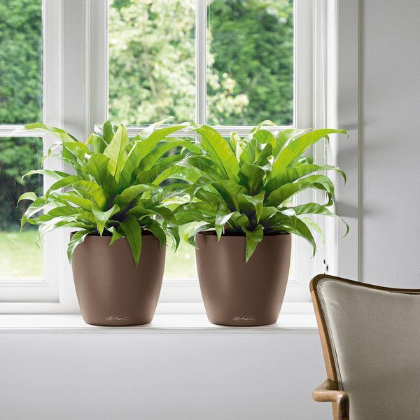 Розумний вазон Lechuza Classico Color 35 17 л коричневий 13223