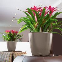 Розумний вазон Lechuza Classico Premium LS 35 13,2 л білий 16060