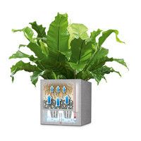 Розумний вазон Lechuza Canto Color Square 40 29 л сірий 13720