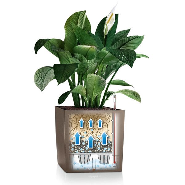 Розумний вазон Lechuza Cube Premium 40 31 л сірий 16363