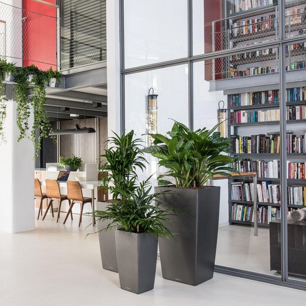 Розумний вазон Lechuza Cubico 40 31 л сірий 18194