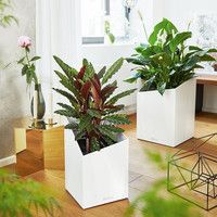 Розумний вазон Lechuza Cursivo Premium 40 31 л коричневий 16624