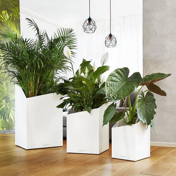 Розумний вазон Lechuza Cursivo Premium 40 31 л коричневий 16624