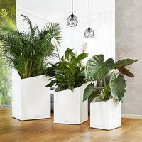 Розумний вазон Lechuza Cursivo Premium 40 31 л коричневий 16624