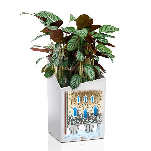 Розумний вазон Lechuza Cursivo Premium 40 31 л коричневий 16624