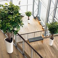 Розумний вазон Lechuza Delta 40 17 л білий 15540