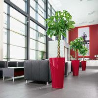 Розумний вазон Lechuza Delta 40 17 л білий 15540