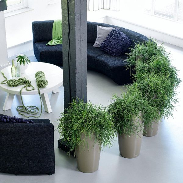 Розумний вазон Lechuza Rondo Premium 40 22 л чорний 15749