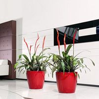 Розумний вазон Lechuza Classico Premium LS 43 27,9 л коричневий 16081