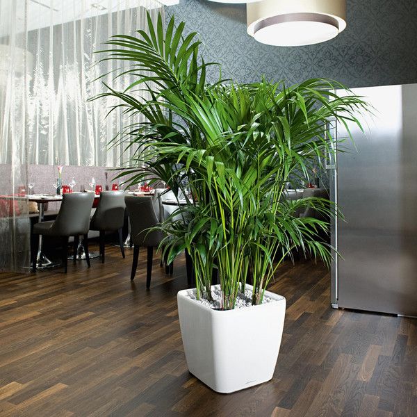 Розумний вазон Lechuza Quadro Premium LS 43 31,9 л коричневий 16181