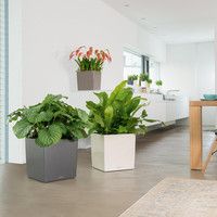 Розумний вазон Lechuza Cubе Premium 50 61 л білий 16560