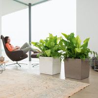 Розумний вазон Lechuza Cubе Premium 50 61 л чорний 16569