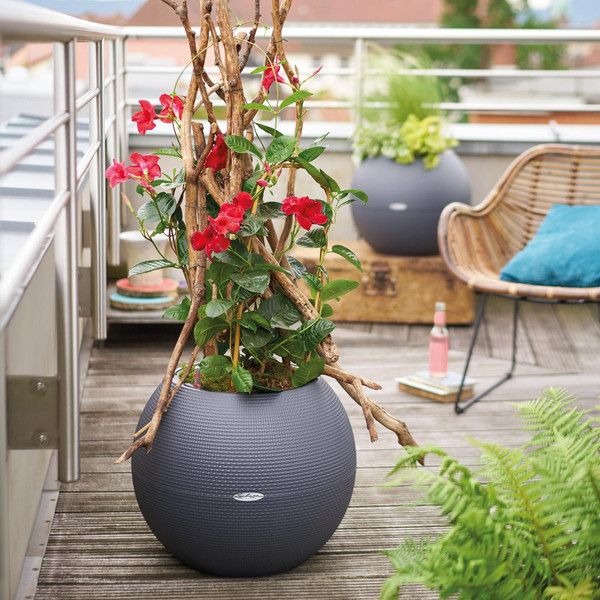 Розумний вазон Lechuza Puro Color 50 13 л білий 13340