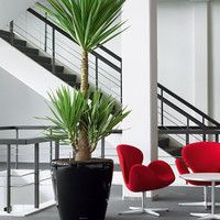 Розумний вазон Lechuza Classico 60 90 л сірий 14503