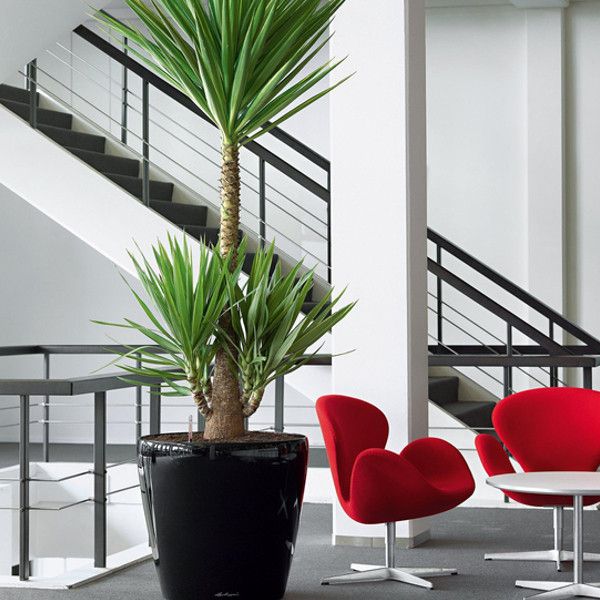 Розумний вазон Lechuza Classico 60 90 л чорний 14509