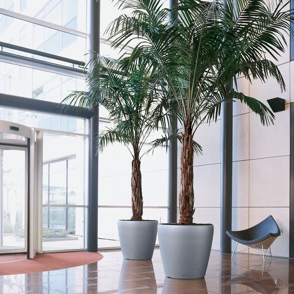 Розумний вазон Lechuza Classico 70 145 л коричневий 14627