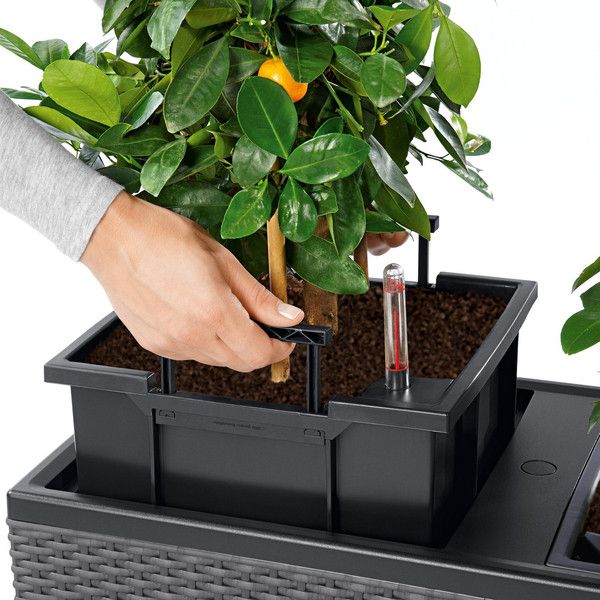 Розумний вазон Lechuza Trio Cottage 30 42 л сірий 15003