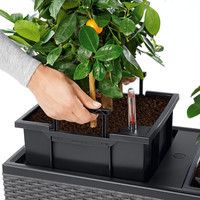 Фото Розумний вазон Lechuza Trio Cottage 30 42 л сірий 15003